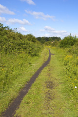 rail trail footpath