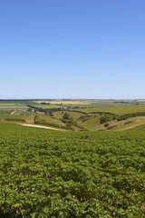 yorkshire wolds valley