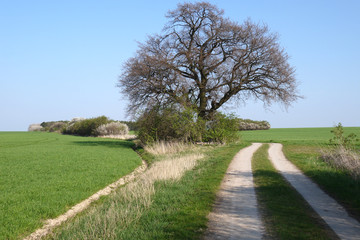 Obraz premium Spaziergang