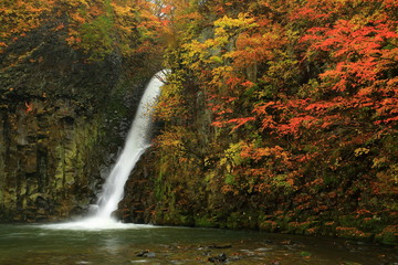 紅葉の銚子の滝