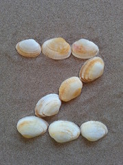 alphabet buchstabe Z aus muscheln im strandsand