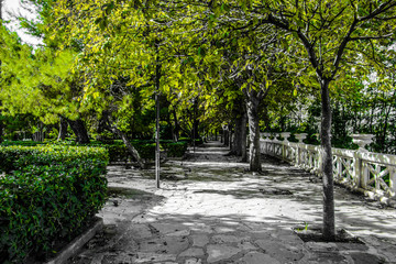 parck black and green 