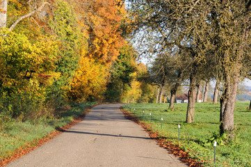 Landstraße im Herbst