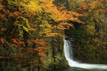 Fototapeta na wymiar 紅葉の銚子の滝