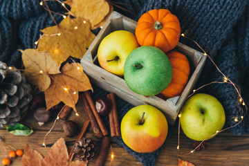 Autumn composition over wooden background. Apples, pumpkin and leaves.