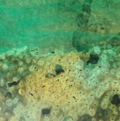 Detailed background with watercolor texture