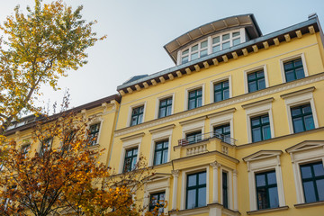 old renovated house with modern roof and tree