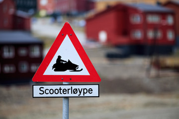 Schneekatze aus Spitzbergen