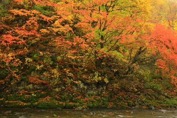 紅葉の銚子の滝