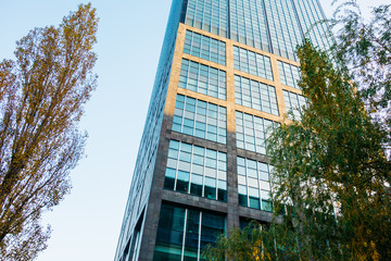 Fototapeta na wymiar modern glass skyscraper with green trees