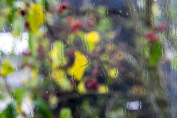 Autumn rain with colorful leaves background
