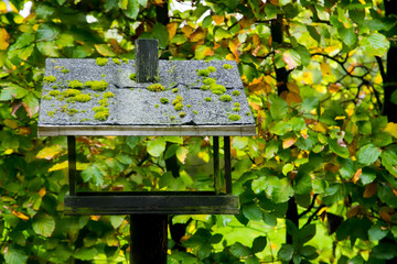 Bird house in autumn garden
