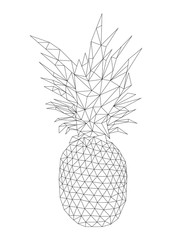 Pineapple icon in outline style