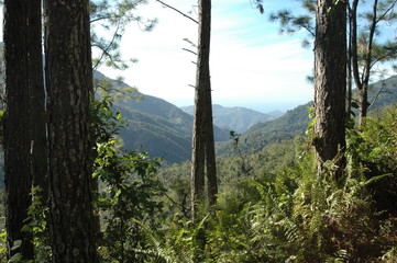 Kuba - Comandancia von Fidel Castro und Ché Guevara in der Sierra Maestra