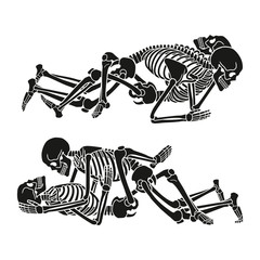 Human skeleton kamasutra set. Vector illustration.