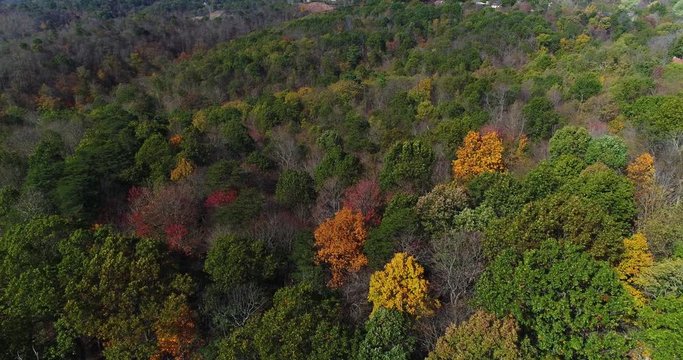 A daytime aerial flyover of colorful trees in Western Pennsylvania in early autumn.  	