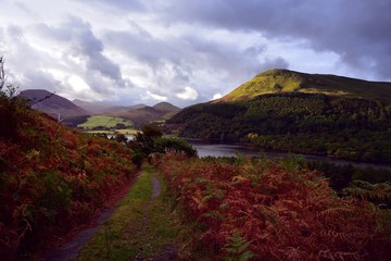 Track down to Loweswater
