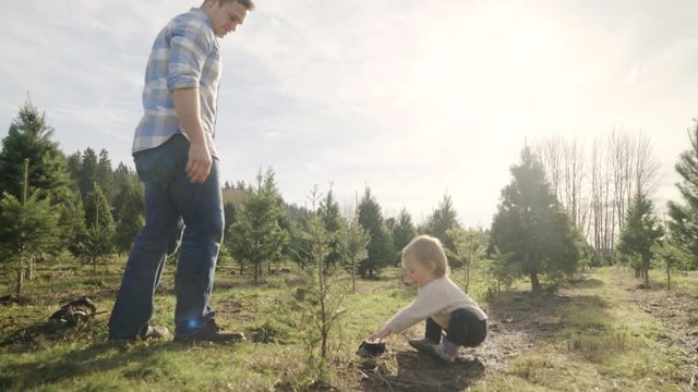Full shot of a father watching over his child at a tree farm