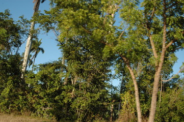 Kuba - Comandancia von Fidel Castro und Ché Guevara in der Sierra Maestra