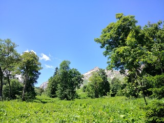 Obraz premium Mountains