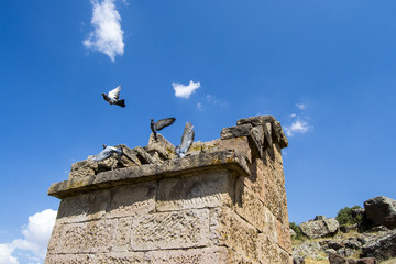 özgürlük © ahmet