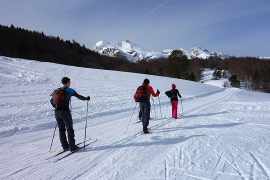 cross country skiing in two groups