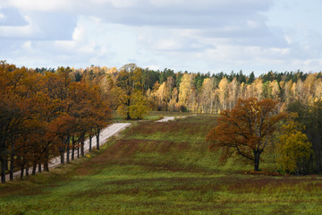 Fototapeta na wymiar countryside fields in autumn with lonely trees