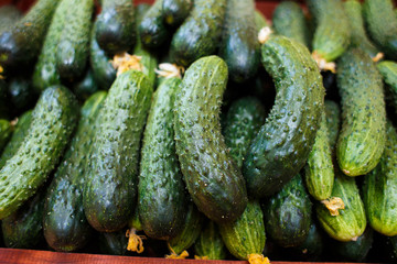 Background of cucumbers