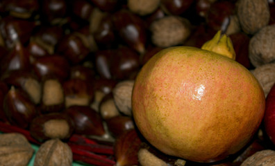 pomegranate