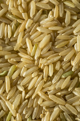 Dry Organic Wild Long Brown Rice
