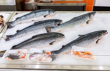Salmon fish are frozen with ice for sale in the supermarket
