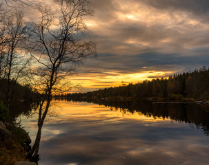 Forest reflection in lake, Norway