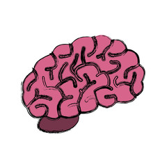 Human brain symbol icon vector illustration graphic design