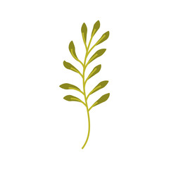 branch plant with leaves natural foliage garden