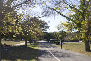 woman walking in a park during the autumn or fall