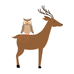 Fototapeta premium wild deer with owl