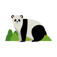 wild bear panda with bush