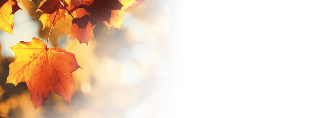 Goldener Herbst