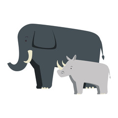 wild elephant and rhino