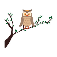 owl bird in branch