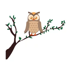 Fotobehang owl bird in branch © Gstudio