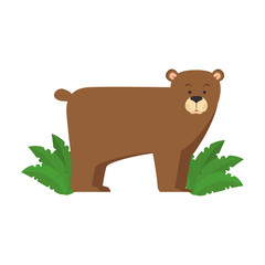 Obraz na płótnie Canvas wild bear grizzly with bush