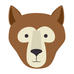 wild bear kodiak head