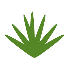 exotic jungle bush icon