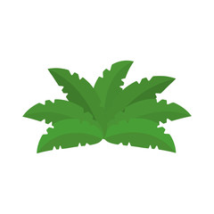 exotic jungle bush icon