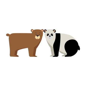 wild bears panda and grizzly