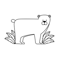 wild bear grizzly with bush