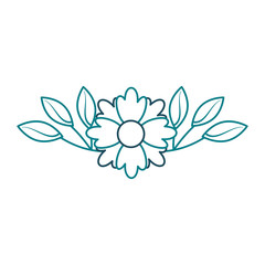 crocus flower leaves natural decoration ornament