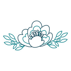 cherry flower leaves nature delicate bloom