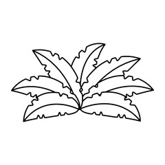 exotic jungle bush icon